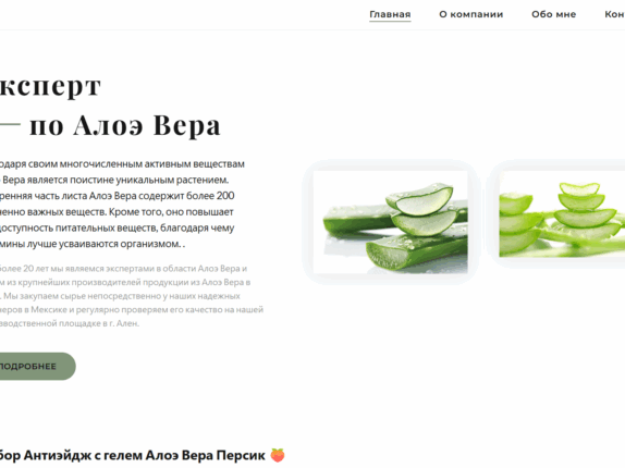 SEO-кейс + разработка сайта для lrworlds.kz